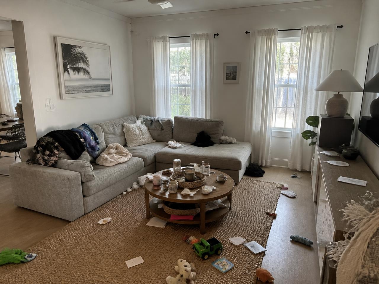 Before professional cleaning